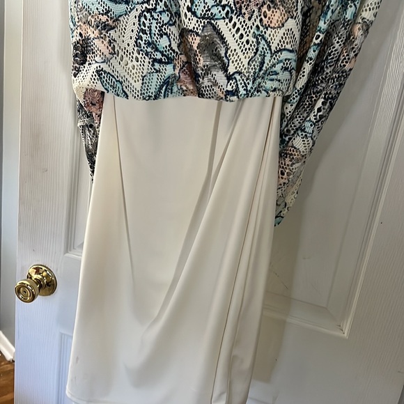 Dress - Picture 4 of 5